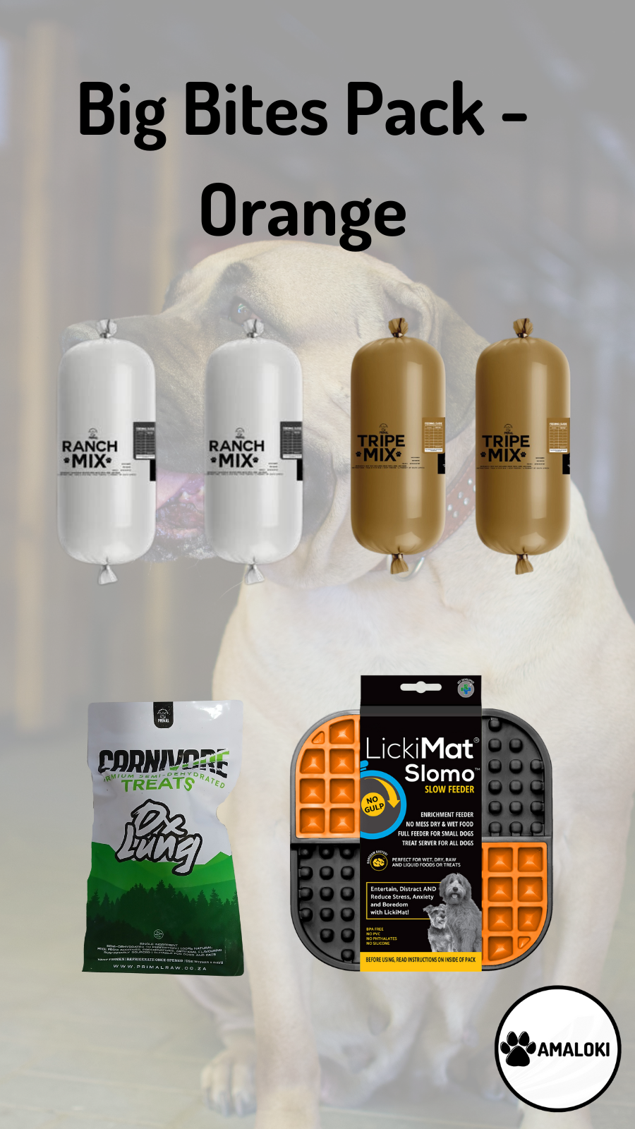 Big Bites Pack Dogs Orange Amaloki