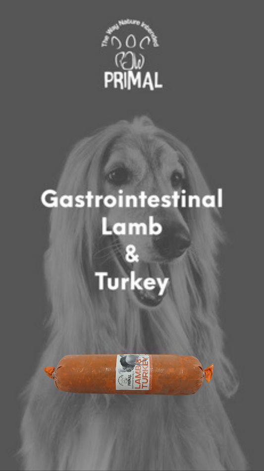 Healthy pet food. Lamb & Turkey Gastrointestinal Raw Rolls for Pets from Amaloki
