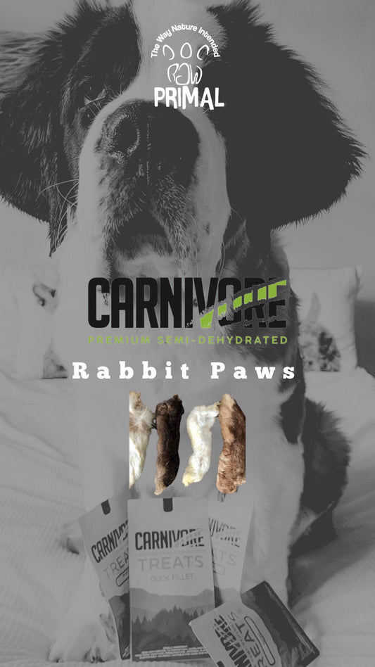 Semi-Hydrated Rabbit Paw Treats for Pets from Amaloki